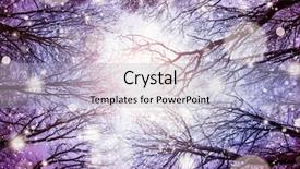  Presentation with winter forest night - PPT layouts having christmas tree blue night sky background - looking up in the winter background and a light blue colored foreground