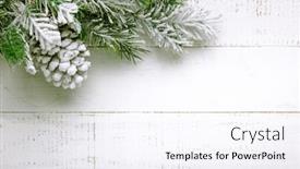  Presentation with pine cone - Audience pleasing presentation consisting of a white wooden background backdrop and a sky blue colored foreground