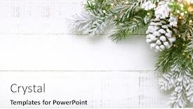  Presentation with pine cone - Presentation theme featuring christmas tree branch and pine cone in snow on a white wooden background winter festive concept flat lay copy space background and a sky blue colored foreground