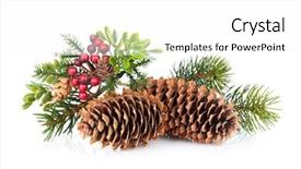  Presentation with christmas holly - Theme consisting of christmas tree branch with holly decor isolated on white background background and a white colored foreground