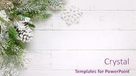  Presentation with pine cone - Colorful presentation enhanced with christmas tree branch with pine backdrop and a sky blue colored foreground