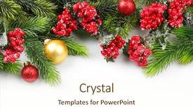  Presentation with christmas red - Beautiful presentation featuring christmas tree branch with red backdrop and a cream colored foreground