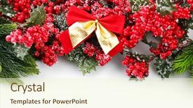  Presentation with golden christmas trumpet and red - Presentation theme consisting of christmas tree branch with red background and a cream colored foreground