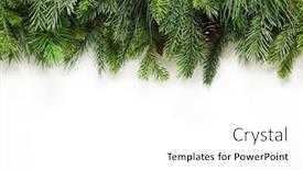  Presentation with christmas tree - Presentation theme enhanced with christmas-tree-branches-background background and a white colored foreground