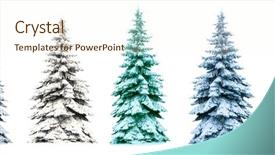  Presentation with christmas tree - Amazing presentation theme having christmas tree collage christmas tree backdrop and a cream colored foreground