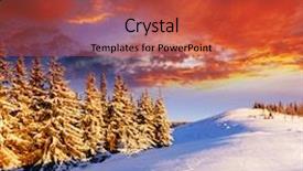  Presentation with winter landscape winter tree - Slides consisting of christmas tree forest - majestic sunset in the winter background and a red colored foreground