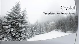  Presentation with snow blizzard in winter - Amazing presentation design having christmas tree forest - winter landscape with snow covered backdrop and a  colored foreground