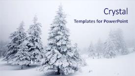  Presentation with snow - Presentation theme consisting of christmas tree forest - winter landscape with snow covered background and a sky blue colored foreground