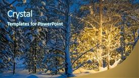  Presentation with winter forest night - PPT theme having christmas tree glowing lights background and a ocean colored foreground