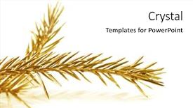  Presentation with apple tree golden - Presentation theme enhanced with christmas tree golden branch isolated background and a white colored foreground
