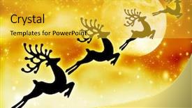  Presentation with winter border - PPT layouts having christmas tree green border background and a yellow colored foreground