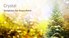  Presentation with merry christmas - Beautiful slides featuring christmas-tree-isolated-over-vibrant backdrop and a cream colored foreground