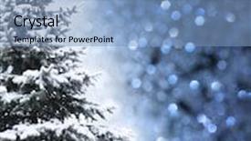  Presentation with christmas tree - Beautiful presentation theme featuring christmas tree - isolated over vibrant colors background backdrop and a light blue colored foreground