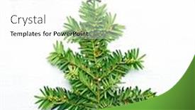  Presentation with glitter - Cool new slide set with christmas tree made from fir twigs and decorated with golden glitter christmas symbol white background backdrop and a white colored foreground