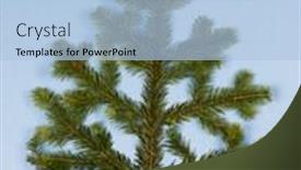  Presentation with spruce - Slide deck having christmas tree natural spruce branch and red star on blue background background and a light blue colored foreground