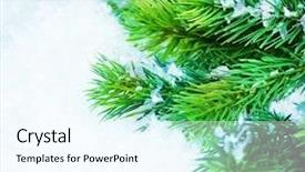  Presentation with snow tree - Audience pleasing slide set consisting of christmas tree over snow winter backdrop and a  colored foreground