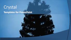  Presentation with tree silhouette - Slide set enhanced with christmas tree silhouette blue background background and a teal colored foreground