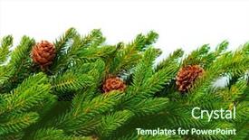  Presentation with baby jesus christmas rustic isolated - Beautiful theme featuring christmas tree with cones border backdrop and a tawny brown colored foreground