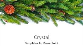  Presentation with framework - Beautiful theme featuring christmas tree with cones border isolated on a white background new year holiday evergreen tree xmas green framework backdrop and a white colored foreground