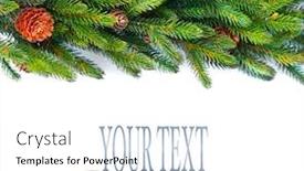  Presentation with framework - Beautiful PPT layouts featuring christmas tree with cones border isolated on a white background new year holiday evergreen tree xmas green framework backdrop and a white colored foreground