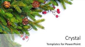  Presentation with christmas border design - Cool new PPT layouts with christmas tree with cones border backdrop and a white colored foreground