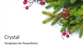  Presentation with design christmas holiday - Amazing PPT layouts having christmas tree with cones border backdrop and a white colored foreground