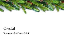  Presentation with framework - PPT theme with christmas tree with cones border background and a white colored foreground