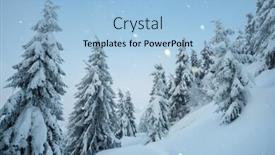  Presentation with spruce - Audience pleasing slides consisting of christmas view in the snowfall in the mountain forest footpath in the snow winter landscape with spruce trees backdrop and a light blue colored foreground