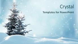  Presentation with fir tree - Cool new PPT theme with christmas winter background with fir backdrop and a sky blue colored foreground