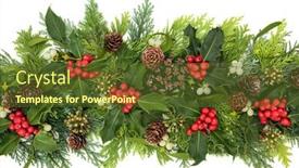 Presentation with festive season - Amazing presentation theme having christmas-winter-greenery-with-holly backdrop and a tawny brown colored foreground