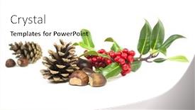  Presentation with holly - Beautiful presentation featuring christmas-winter-holly-and-red backdrop and a white colored foreground