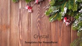  Presentation with snow tree - 