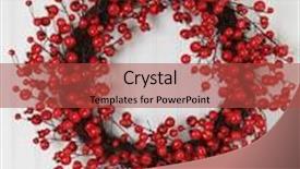  Presentation with christmas holly - Beautiful slide set featuring christmas wreath of holly berries backdrop and a red colored foreground