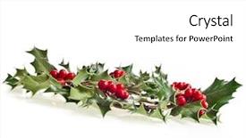  Presentation with christmas holly - Theme with christmas wreath of nature leaves background and a white colored foreground