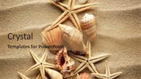  Presentation with christmass - Cool new slides with christmass tree from shells on sand background backdrop and a coral colored foreground