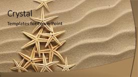  Presentation with tropical christmas - Beautiful PPT theme featuring christmass tree from shells backdrop and a coral colored foreground