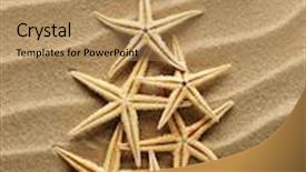  Presentation with christmass - Amazing PPT layouts having christmass tree from shells on sand background backdrop and a coral colored foreground