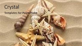  Presentation with christmass - Colorful presentation theme enhanced with christmass tree from shells on sand background backdrop and a coral colored foreground