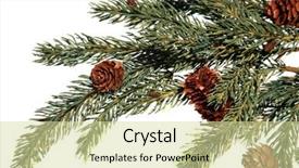  Presentation with baby jesus christmas rustic isolated - Theme featuring christmast - fake christmas tree branch isolated background and a soft green colored foreground