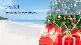  Presentation with beach palm tree wedding - PPT theme consisting of christmastree - christmas tree and gifts background and a light blue colored foreground