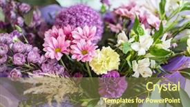  Presentation with chrysanthemum - Cool new theme with chrysanthemum - nice bouquet in the hands backdrop and a tawny brown colored foreground