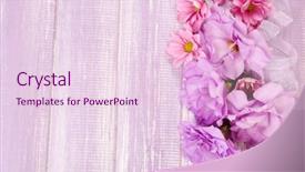  Presentation with purple flowers - PPT layouts featuring chrysanthemum and artificial eustoma flowers background and a lemonade colored foreground