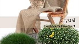  Presentation with chrysanthemum - Slide set featuring chrysanthemum bushes and grass in pots with chair isolated on white background and a coral colored foreground