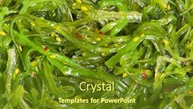  Presentation with seaweed - Colorful PPT theme enhanced with chuka-seaweed-salad backdrop and a tawny brown colored foreground