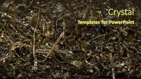  Presentation with food delivery - Beautiful PPT layouts featuring chuka-wakame-laminaria-seaweed-salad backdrop and a tawny brown colored foreground