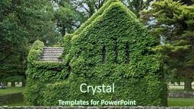  Presentation with ivy - PPT theme with  background and a  colored foreground