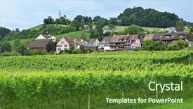  Presentation with vineyards - PPT layouts featuring  background and a  colored foreground