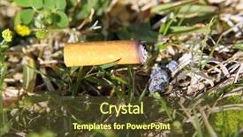  Presentation with hazard - Theme with cigarette fire hazard on forest grass closeup detail background and a tawny brown colored foreground