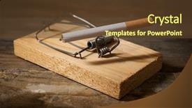  Presentation with cigarette - PPT theme featuring cigarette on a mouse trap background and a tawny brown colored foreground
