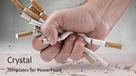  Presentation with cigarettes - Colorful PPT theme enhanced with cigarettes concept for quitting smoking backdrop and a mint green colored foreground